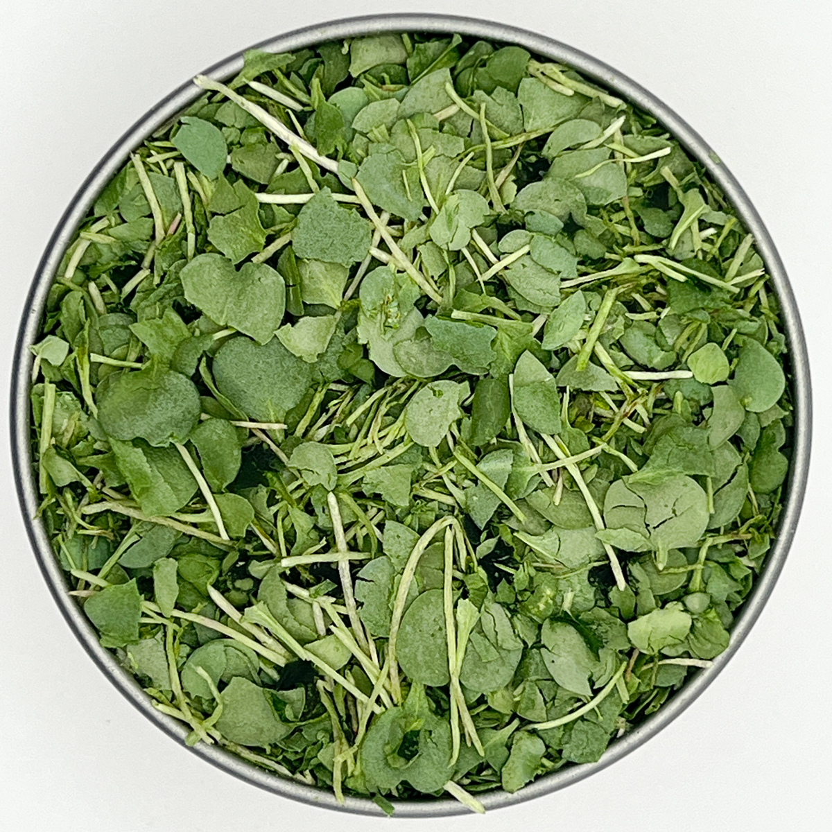Arugula Freeze Dried Microgreens