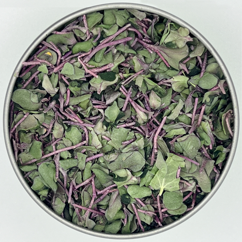 Cabbage Freeze Dried Microgreens