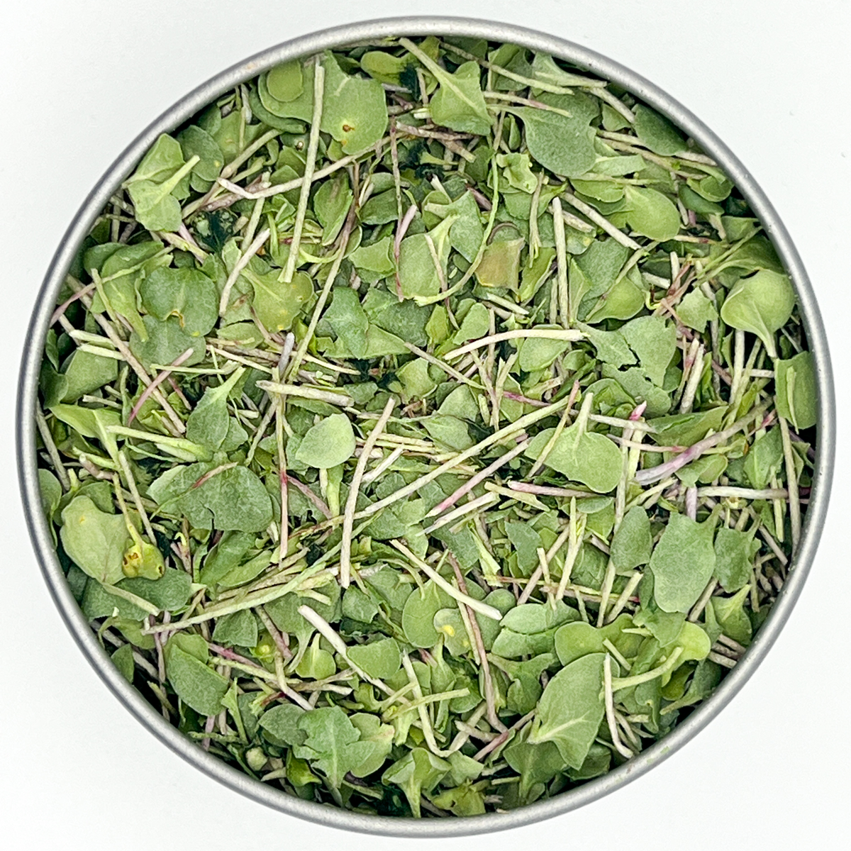 Broccoli Freeze Dried Microgreens