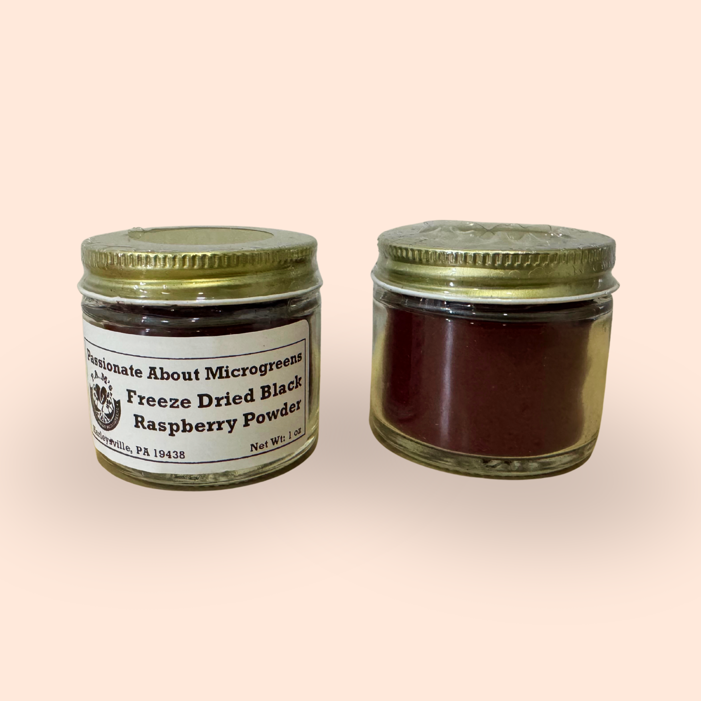 Freeze-Dried Black Raspberry Powder