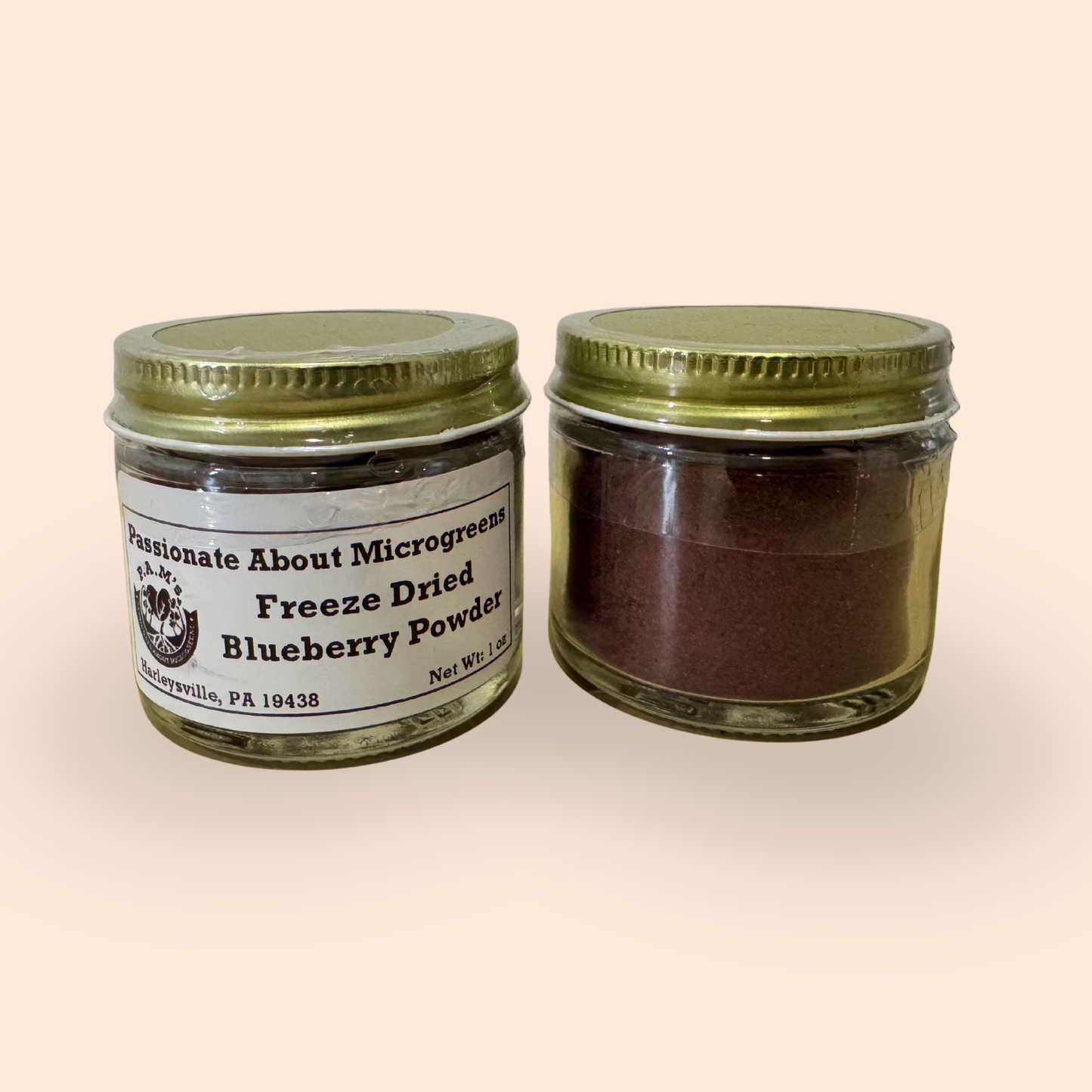Freeze-Dried Blueberry Powder